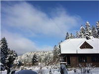 e8cc807a-20170121 VV snijeg.jpg